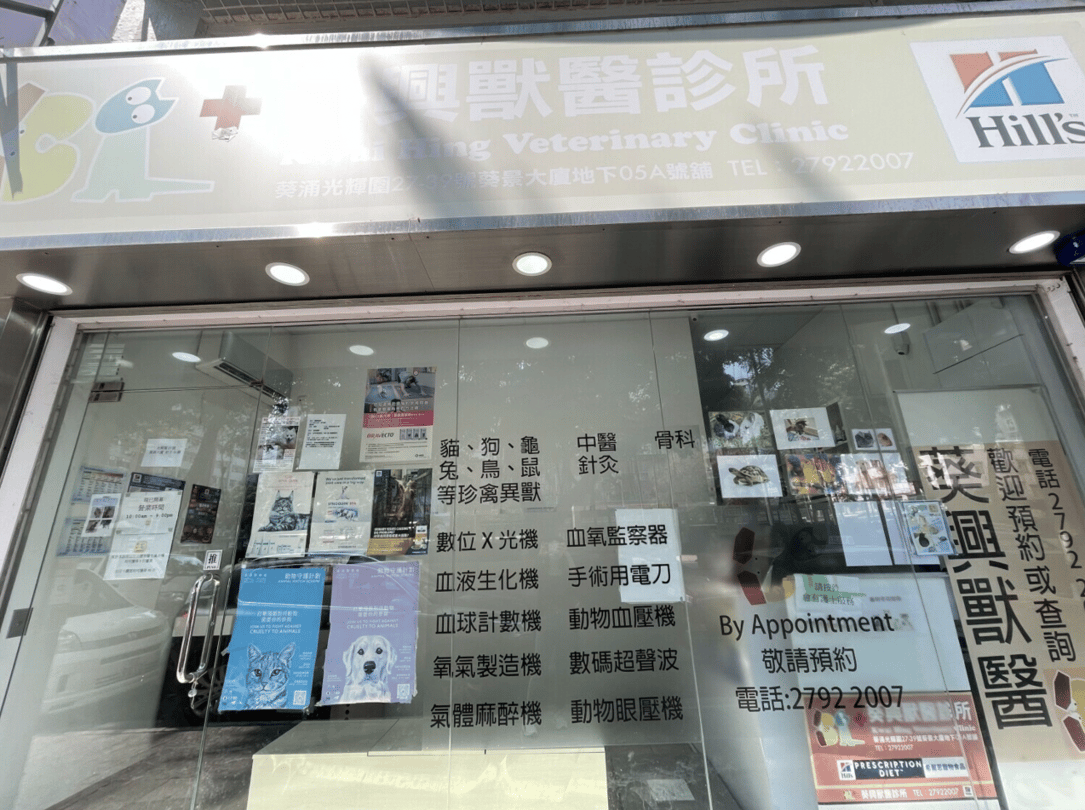 葵興獸醫診所 Kwai Hing Veterinary Clinic - momohood : 寵物診所 • 獸醫 • 好去處一站式資訊平台