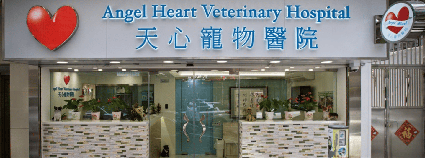 天心寵物醫院 Angel Heart Veterinary Hospital - momohood : 寵物診所 • 獸醫 • 好去處一站式資訊平台