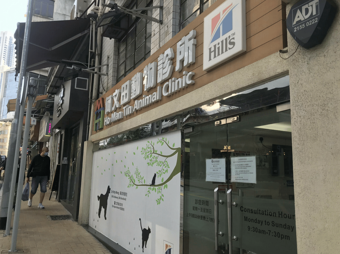 何文田動物診所 Ho Man Tin Animal Clinic - momohood : 寵物診所 • 獸醫 • 好去處一站式資訊平台