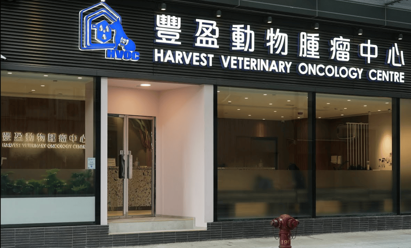 豐盈動物腫瘤中心 Harvest Veterinary Oncology Centre - momohood : 寵物診所 • 獸醫 • 好去處一站式資訊平台